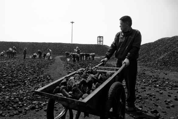 【文苑】可愛(ài)的勞動(dòng)者