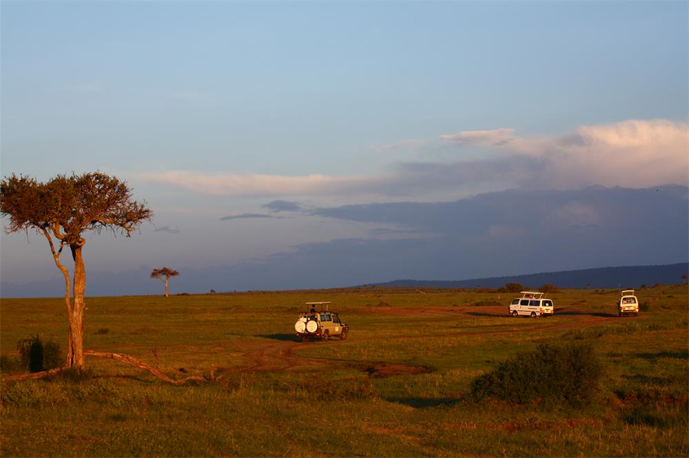 【攝影】《馬賽馬拉草原的清晨》和《熱氣球上看長(zhǎng)頸鹿》